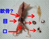 ホタルイカとセロリのガーリック炒め作り方1写真