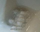 一口冷麺。作り方22写真