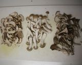 デミ缶で♪たっぷりきのこのハヤシライス☆作り方1写真