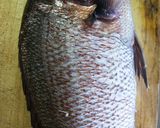 真鯛の刺身、姿造り(湯引き)作り方2写真