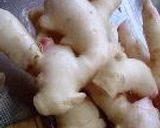 簡単に出来る「梅干」の漬け方作り方11写真