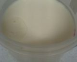 カスピ海ヨーグルト　豆乳・無脂肪牛乳作り方4写真