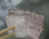 椎茸ホイコーロー作り方14写真