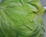 椎茸ホイコーロー作り方6写真
