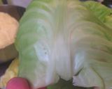 ロールキャベツトマト煮込み作り方6写真