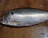 魚を三枚おろしにします。作り方3写真