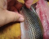 魚を三枚おろしにします。作り方12写真