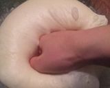 うどん粉でふんわり基本のピザ生地作り方8写真