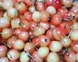 さくらんぼジャム作り方1写真