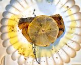 生秋鮭とハーブのレモンオイルソテー作り方4写真