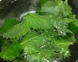 大葉（青じそ）ジュースで花粉症緩和作り方1写真