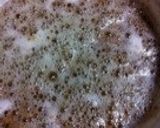 超簡単..10分.丼で生キャラメル.胡麻作り方9写真