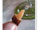 亀の手の食べ方作り方5写真