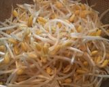 簡単☆豆もやしのナムル２種作り方1写真