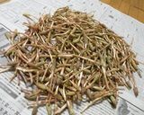 春を満喫☆【つくしの佃煮】作り方1写真