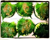 茄子とトマトの梅チーズグリル作り方2写真