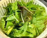 グレープフルーツと生ハムのサラダ作り方1写真