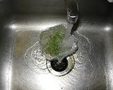 カイワレ大根の種ガラの取り方作り方1写真