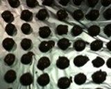 チョコたまごボーロ( ´ ▽ ` )ﾉ作り方3写真