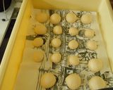 アンパン作りました。作り方3写真