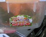 簡単 お弁当用サラダ作り方2写真