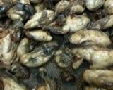 男子めし◆保存食！カキの絶品オイル漬け作り方8写真