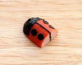 材料３つ★キュートなテントウ虫おにぎり作り方4写真