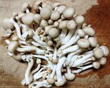 簡単 朝食✿なめこと しめじ 白滝の お味噌汁作り方1写真