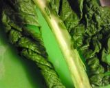 お手軽お漬物☆高菜のしょうが醤油漬け作り方1写真