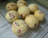 アセロラクランベリーパン作り方18写真