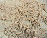 ひき肉と糸コンの甘辛そぼろ丼作り方2写真