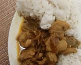 酸味4種比較チキンカレー作り方19写真