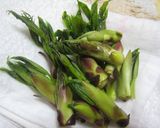 たらの芽のササッと和え作り方1写真