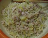 豚肉と春キャベツもやしの簡単春巻き♪作り方3写真