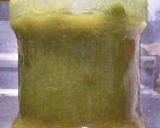 梅味噌　σ（＾ｕ＾）作り方14写真