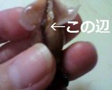 お酒によく合う！！ホタルイカのサラダ作り方2写真