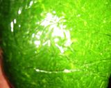 よもぎ（モチ草）ペースト（冷凍保存ＯＫ）作り方8写真