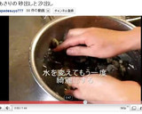 あさりや蛤の砂出し＆汐出し方法作り方9写真
