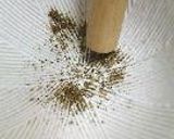 ゆでぶた。作り方13写真
