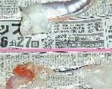 すごくおいしい！２種のイカの塩から作り方2写真