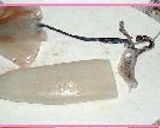 すごくおいしい！２種のイカの塩から作り方4写真