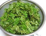 山椒の若葉の佃煮作り方1写真
