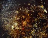 高野豆腐の唐揚げ作り方2写真