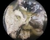 身も心も温まるメジナとイサキの味噌汁作り方14写真