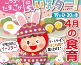 スコッチエッグ作り方9写真