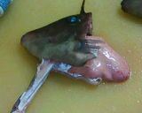ウマズラハギをさばく作り方4写真