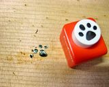 うっかりペネロペのおにぎり弁当作り方6写真