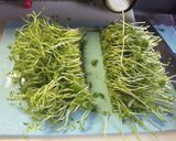 すぐ出来る　豆苗の炒め物作り方1写真