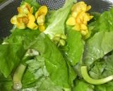 やちぶき（エゾノリュウキンカ）の油炒め♪作り方1写真