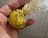 ほくほくかぼちゃとクリームチーズの茶巾玉作り方7写真
